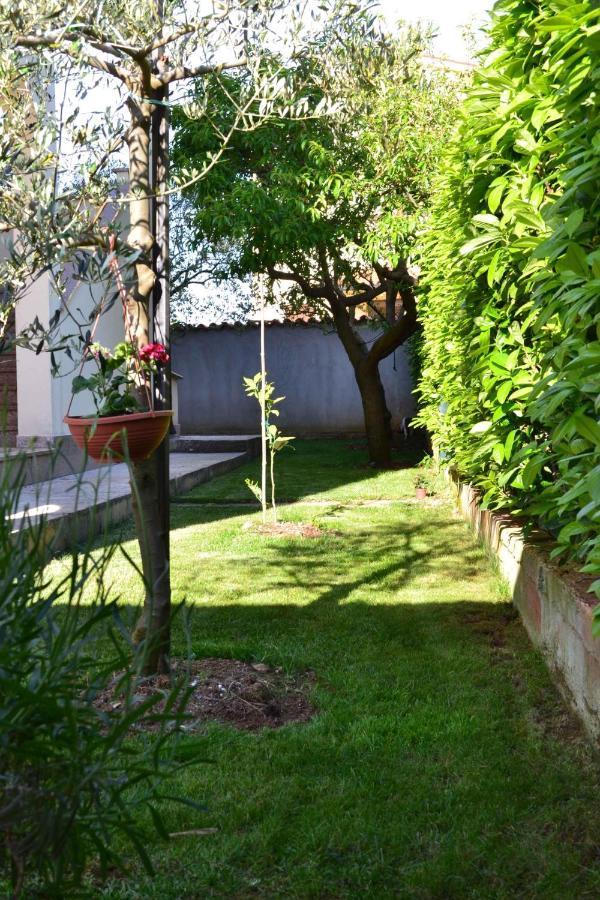 Apartment Valbandon 3 Штиньян Экстерьер фото